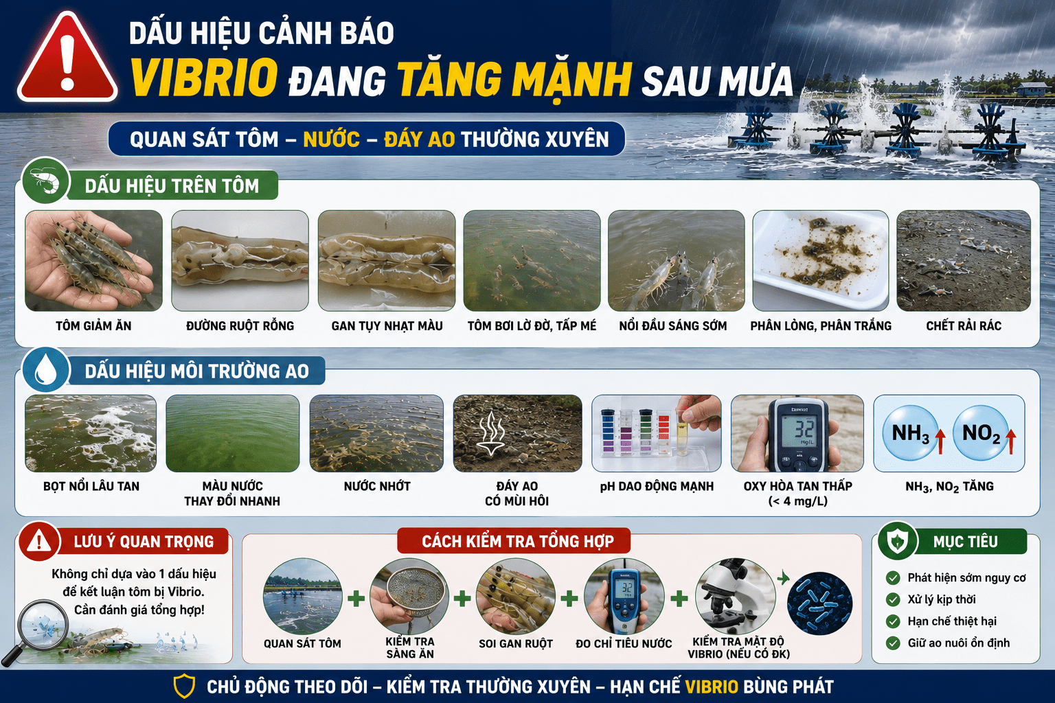 Dấu hiệu cảnh báo Vibrio đang tăng mạnh sau mưa