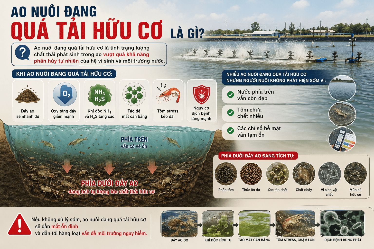 Ao Nuôi Đang Quá Tải Hữu Cơ Là Gì?