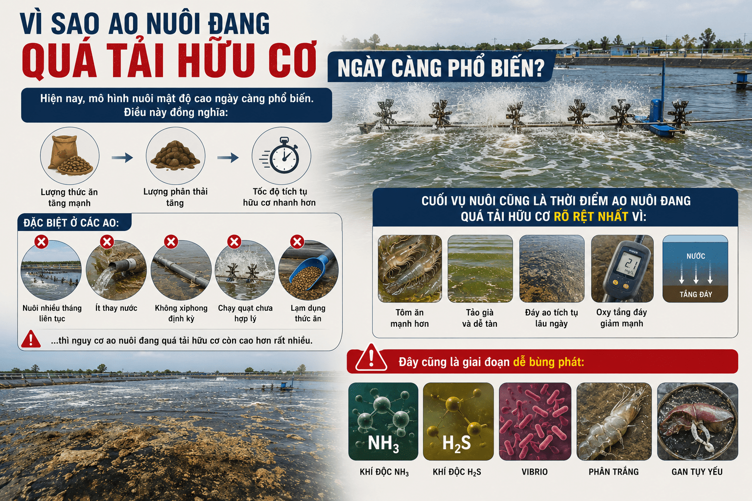 Vì Sao Ao Nuôi Đang Quá Tải Hữu Cơ Ngày Càng Phổ Biến?