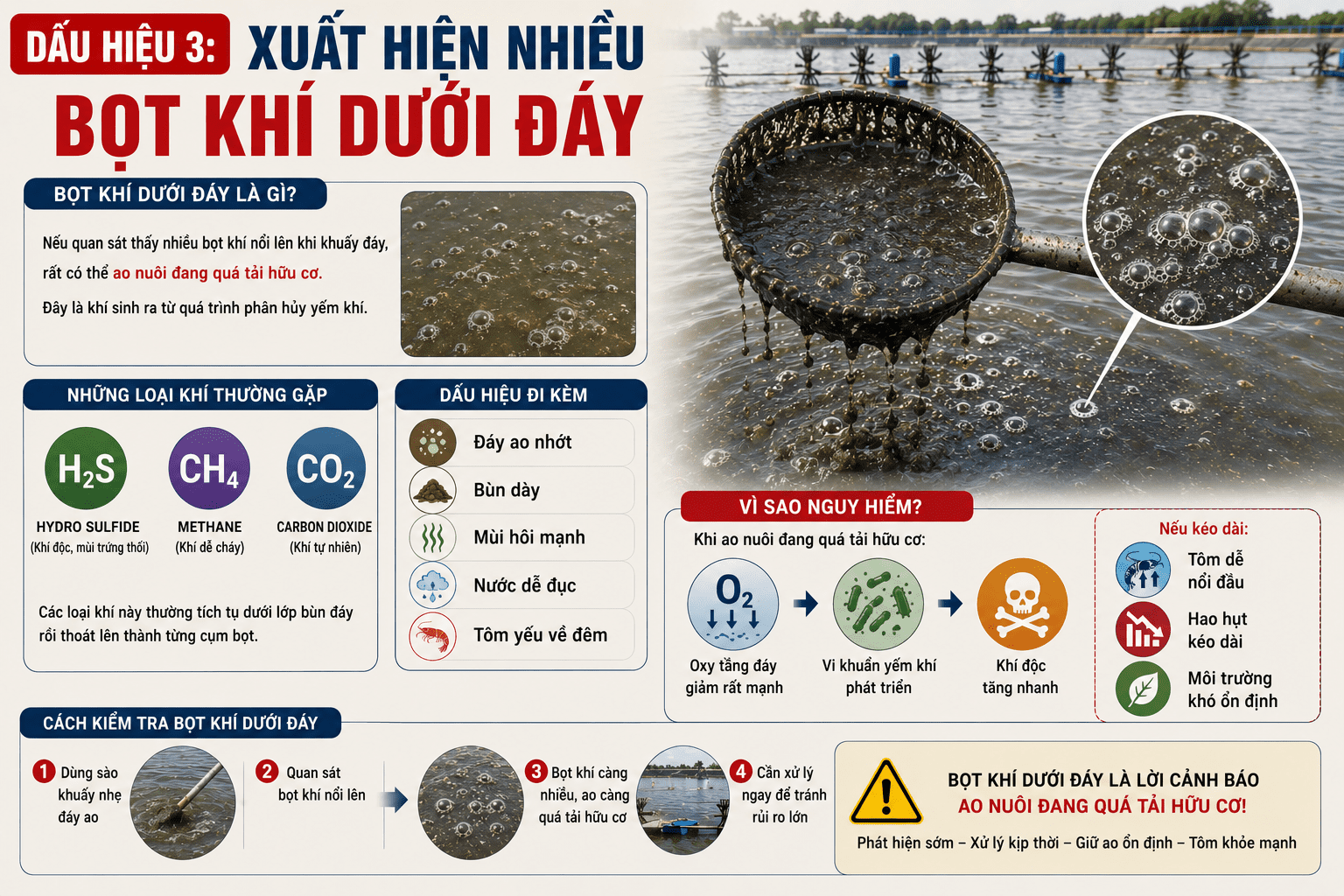 Dấu Hiệu 3: Xuất Hiện Nhiều Bọt Khí Dưới Đáy