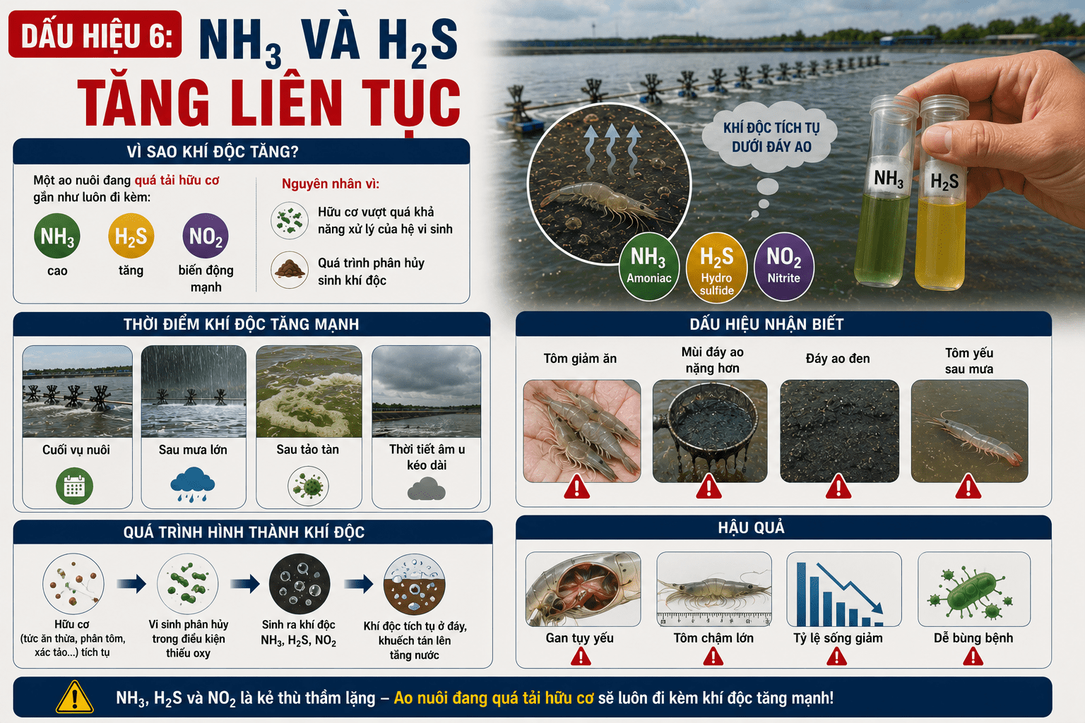Dấu Hiệu 6: NH3 Và H2S Tăng Liên Tục