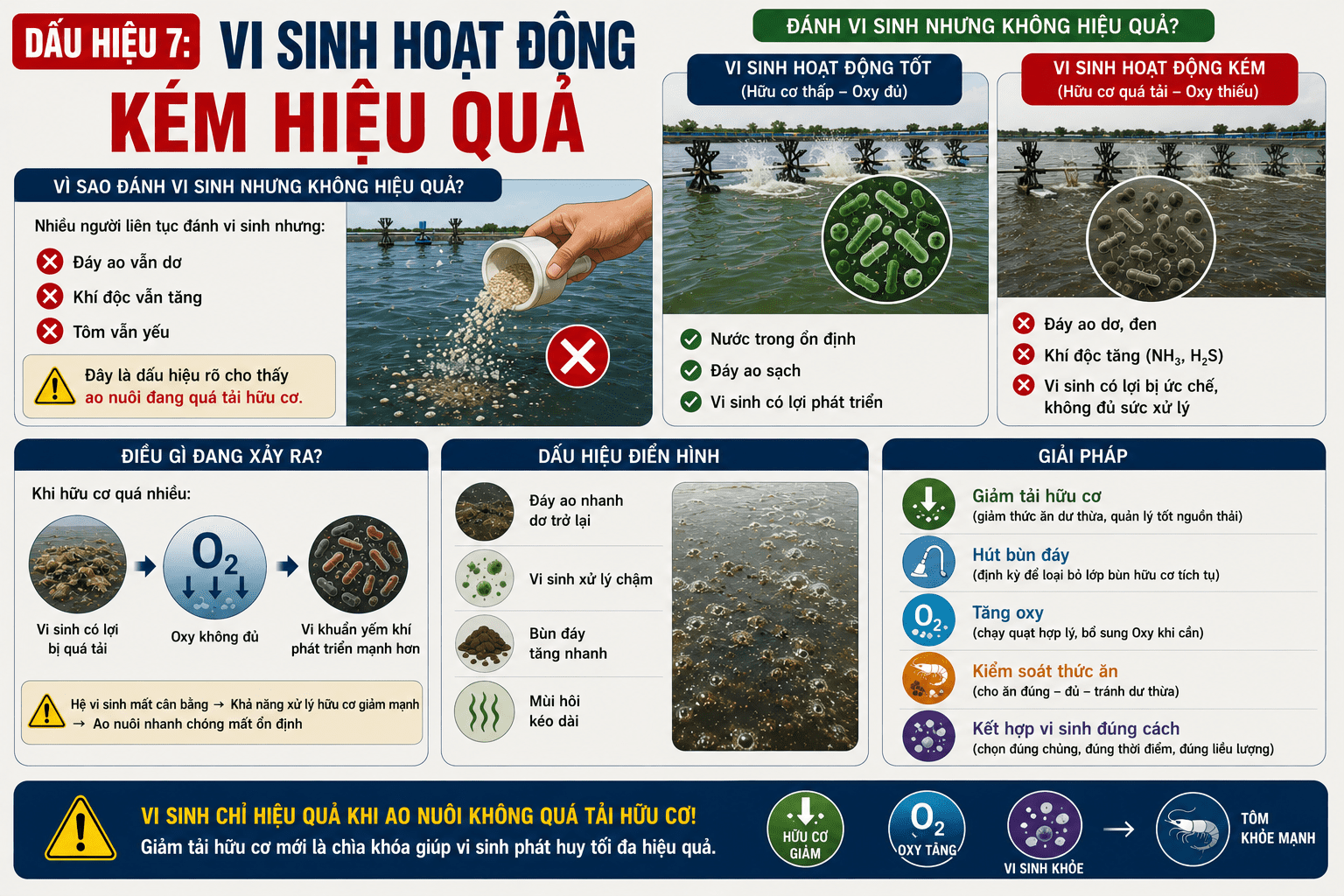 Dấu Hiệu 7: Vi Sinh Hoạt Động Kém Hiệu Quả