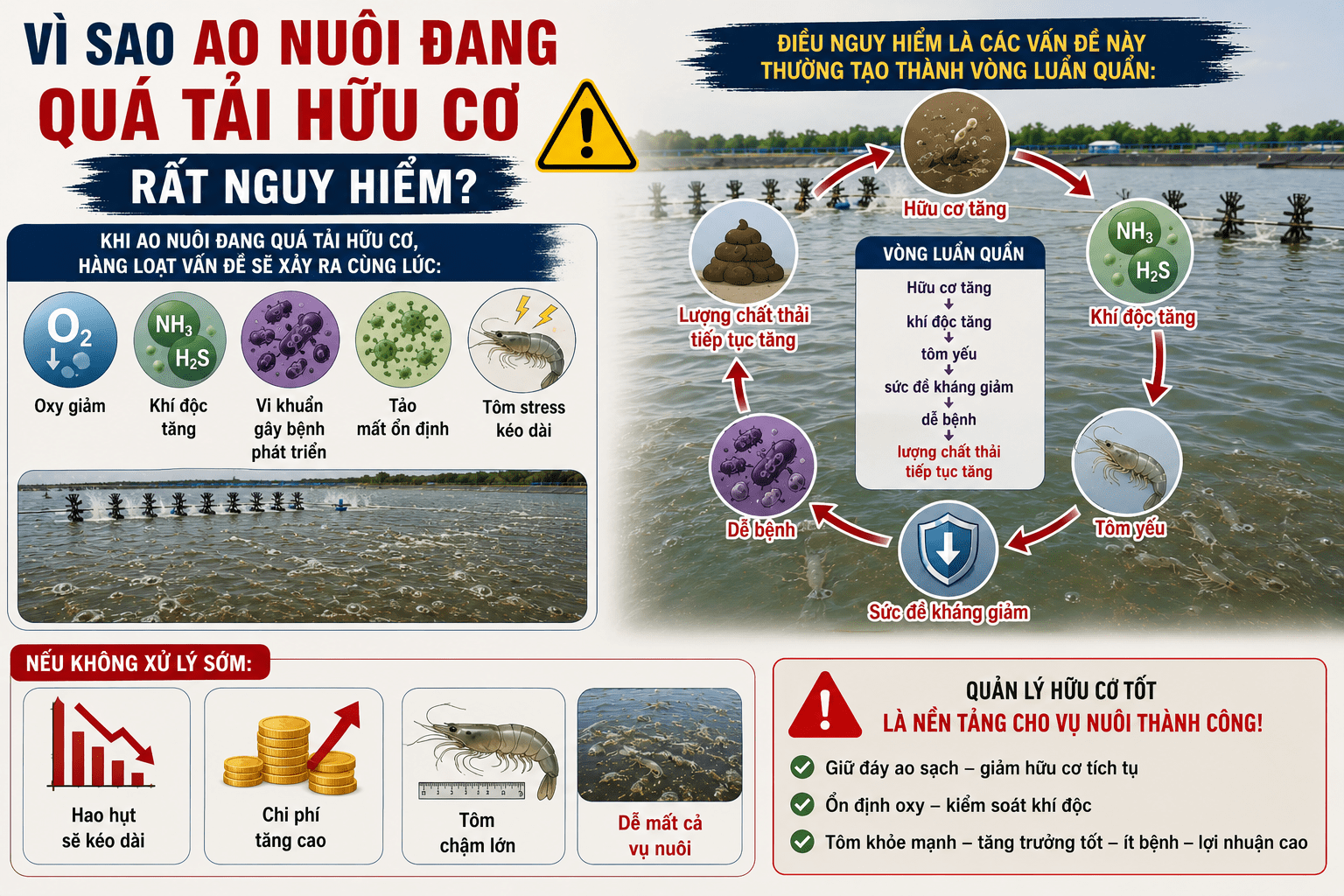 Vì Sao Ao Nuôi Đang Quá Tải Hữu Cơ Rất Nguy Hiểm?