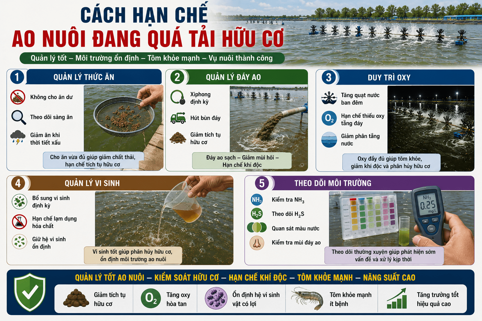 Cách Hạn Chế Ao Nuôi Đang Quá Tải Hữu Cơ