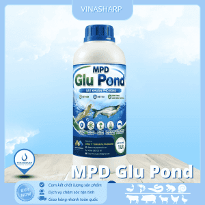 MPD Glu Pond