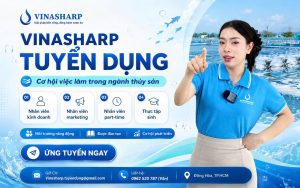 Vinasharp tuyển dụng
