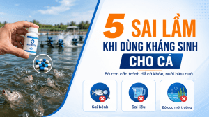 5 SAI LẦM KHI DÙNG KHÁNG SINH CHO CÁ BÀ CON CẦN TRÁNH