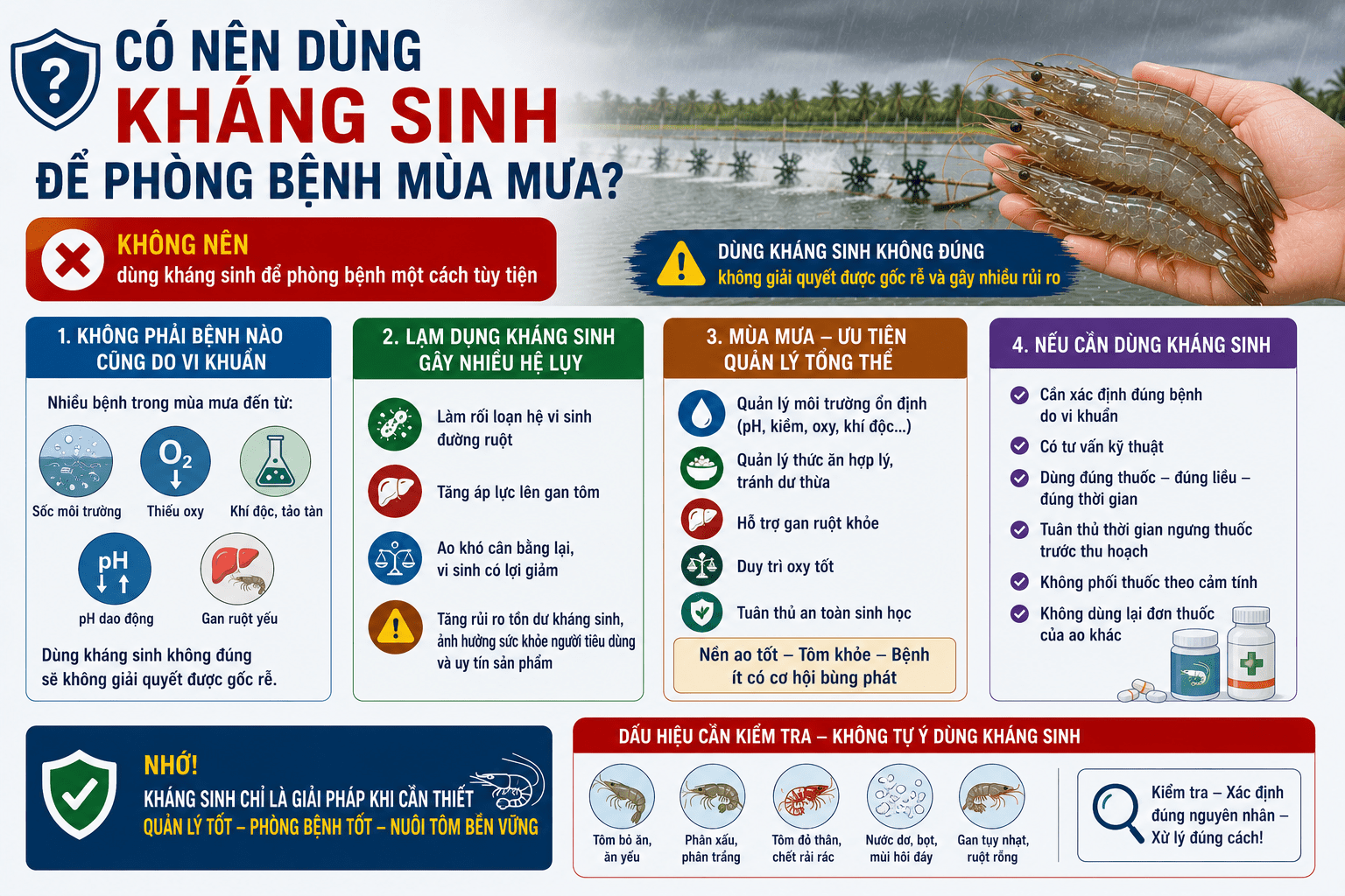 Có nên dùng kháng sinh để phòng bệnh mùa mưa không?
