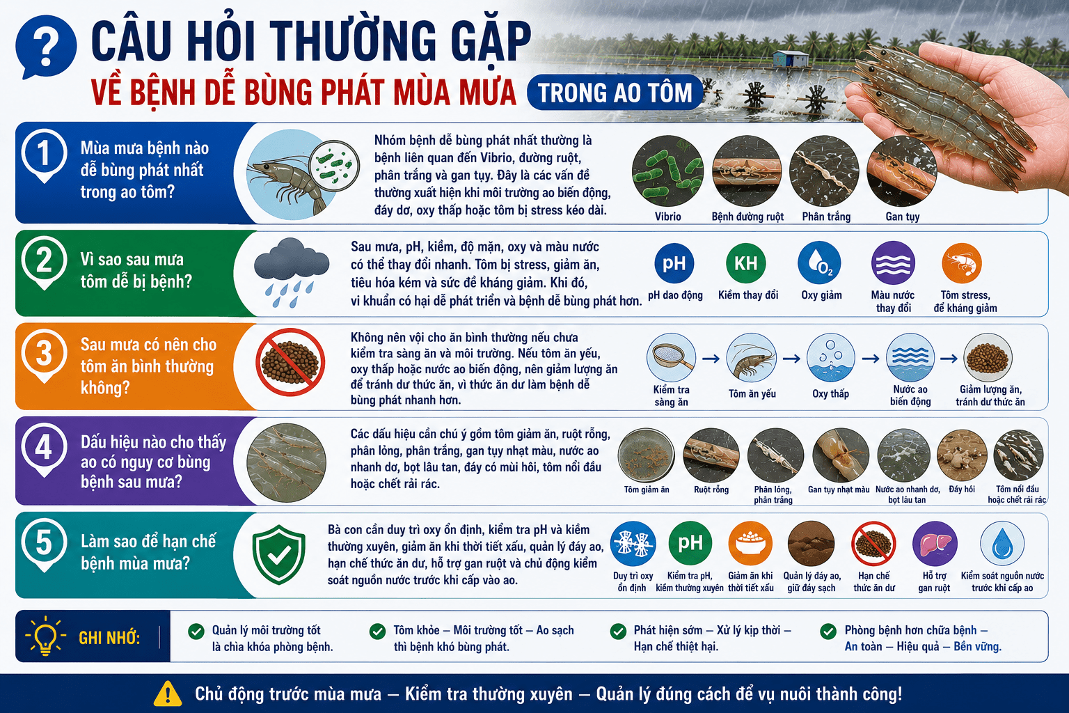 Câu hỏi thường gặp về bệnh dễ bùng phát mùa mưa trong ao tôm