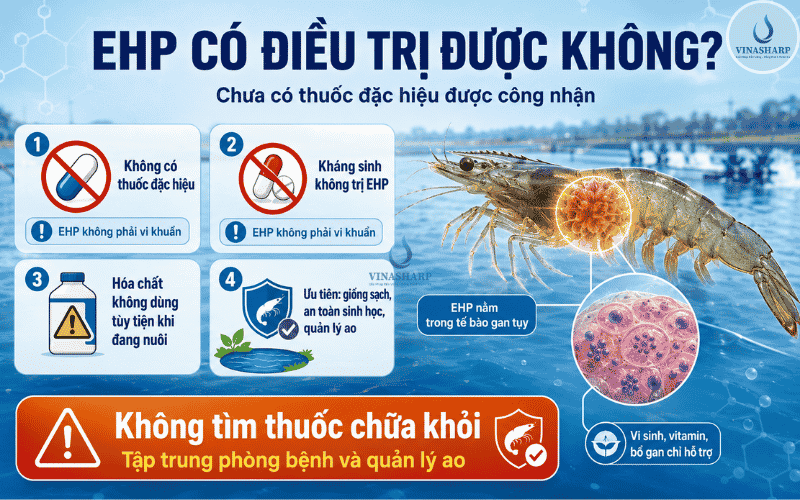 EHP trên tôm có điều trị được không?