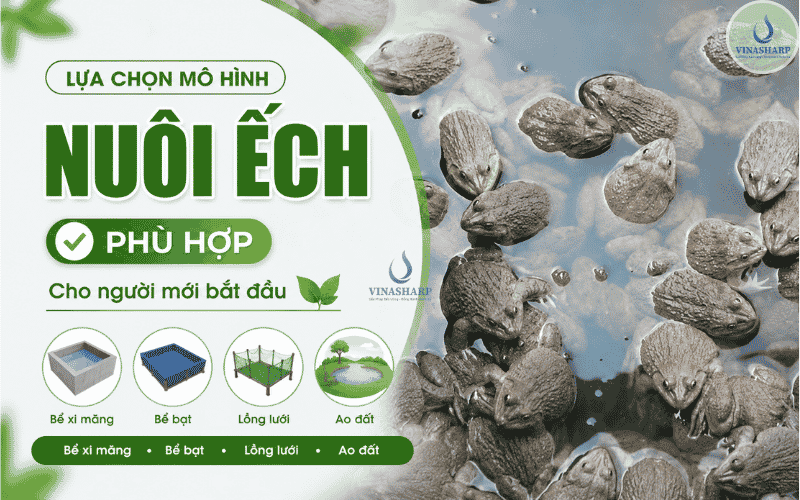 Lựa chọn mô hình nuôi phù hợp