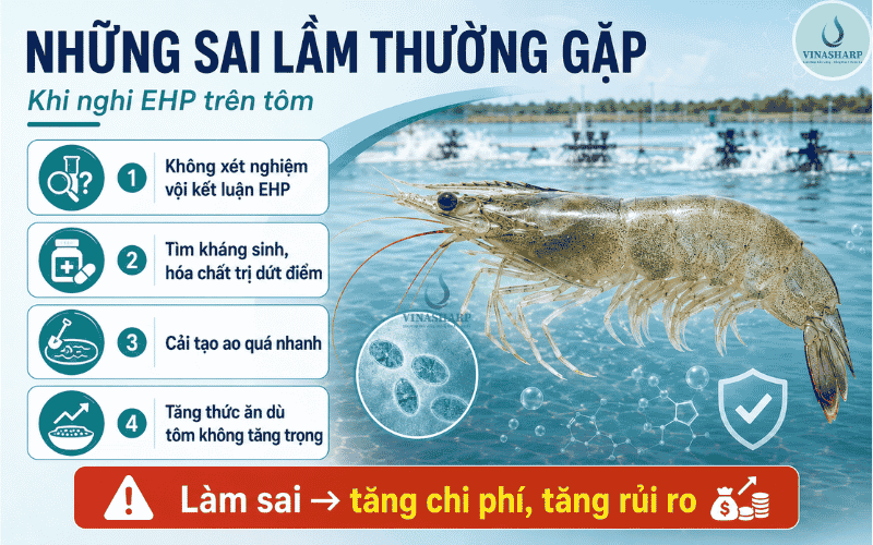 Những sai lầm thường gặp
