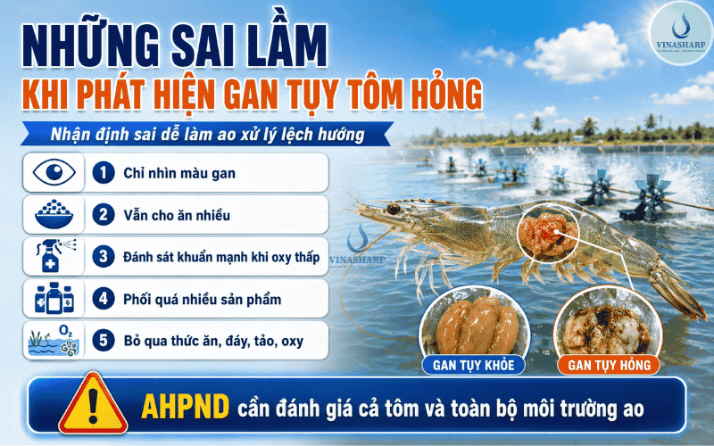 Những Sai Lầm Khi Phát Hiện Gan Tuỵ Tôm Hỏng