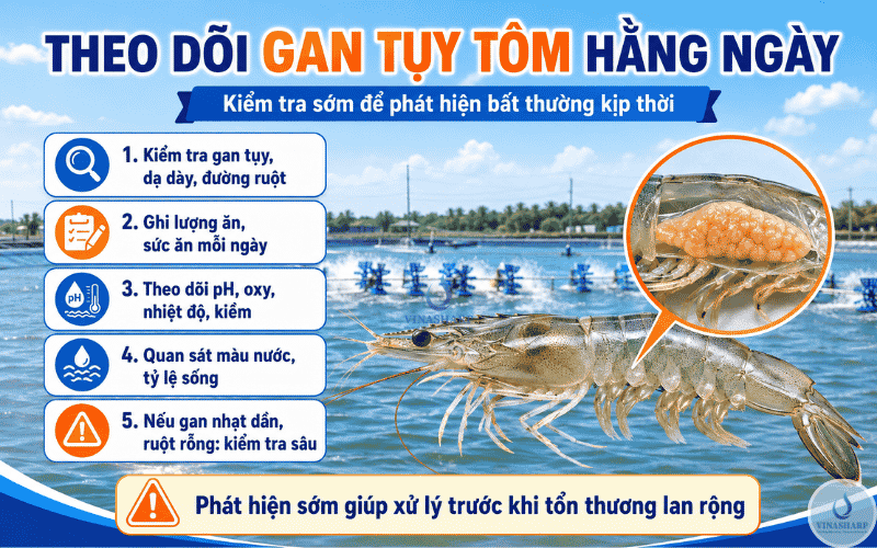 Theo Dõi Gan Tụy Tôm Hằng Ngày