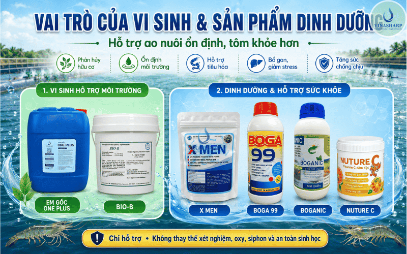Vai trò của vi sinh và sản phẩm dinh dưỡng