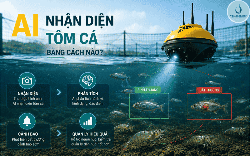 AI nhận diện tôm cá bằng cách nào?
