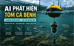 AI PHÁT HIỆN TÔM CÁ BẰNG CAMERA DƯỚI NƯỚC TRONG NUÔI TRỒNG THỦY SẢN