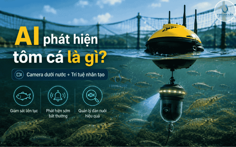 AI phát hiện tôm cá là gì?