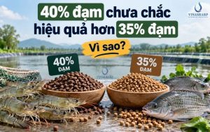 THỨC ĂN 40% ĐẠM CHƯA CHẮC HIỆU QUẢ HƠN 35% ĐẠM – VÌ SAO?