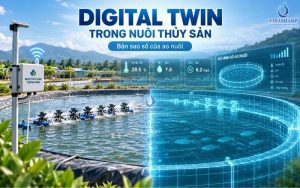 DIGITAL TWIN TRONG NUÔI THỦY SẢN – “BẢN SAO SỐ” CỦA AO NUÔI