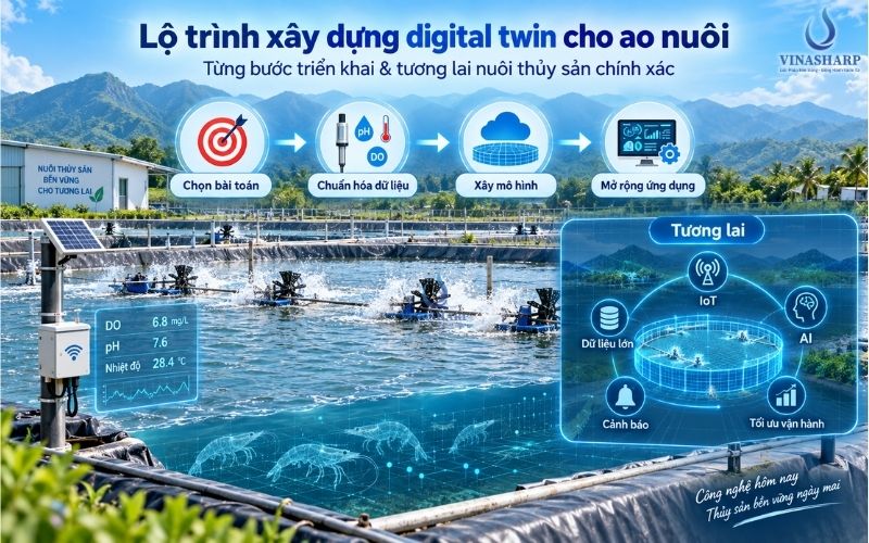 Lộ trình xây dựng digital twin cho ao nuôi