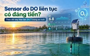 SENSOR ĐO DO LIÊN TỤC CÓ ĐÁNG TIỀN TRONG NUÔI THỦY SẢN?