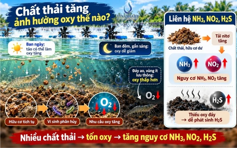 Chất Thải Tăng Ảnh Hưởng Oxy Như Thế Nào?