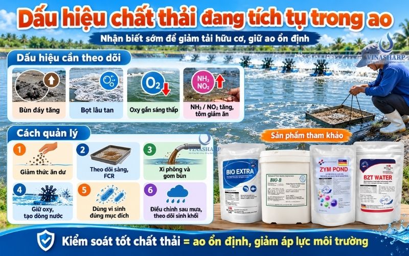 Dấu Hiệu Cho Thấy Chất Thải Đang Tích Tụ